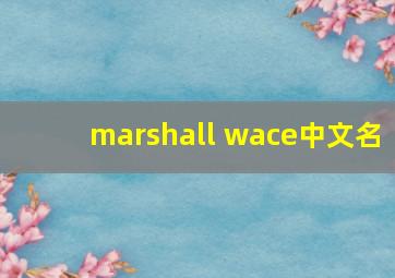 marshall wace中文名